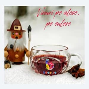 Vin rosu fiert, rubiniu, comanda-l la pret fix si mic.